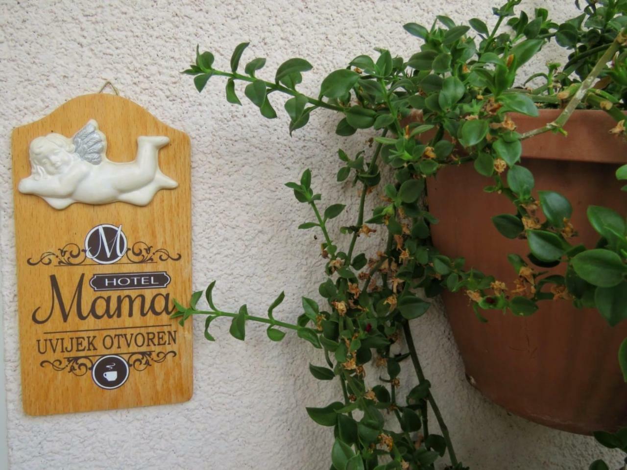 Vila Mozara Slano Exterior photo