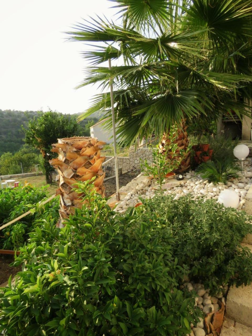 Vila Mozara Slano Exterior photo